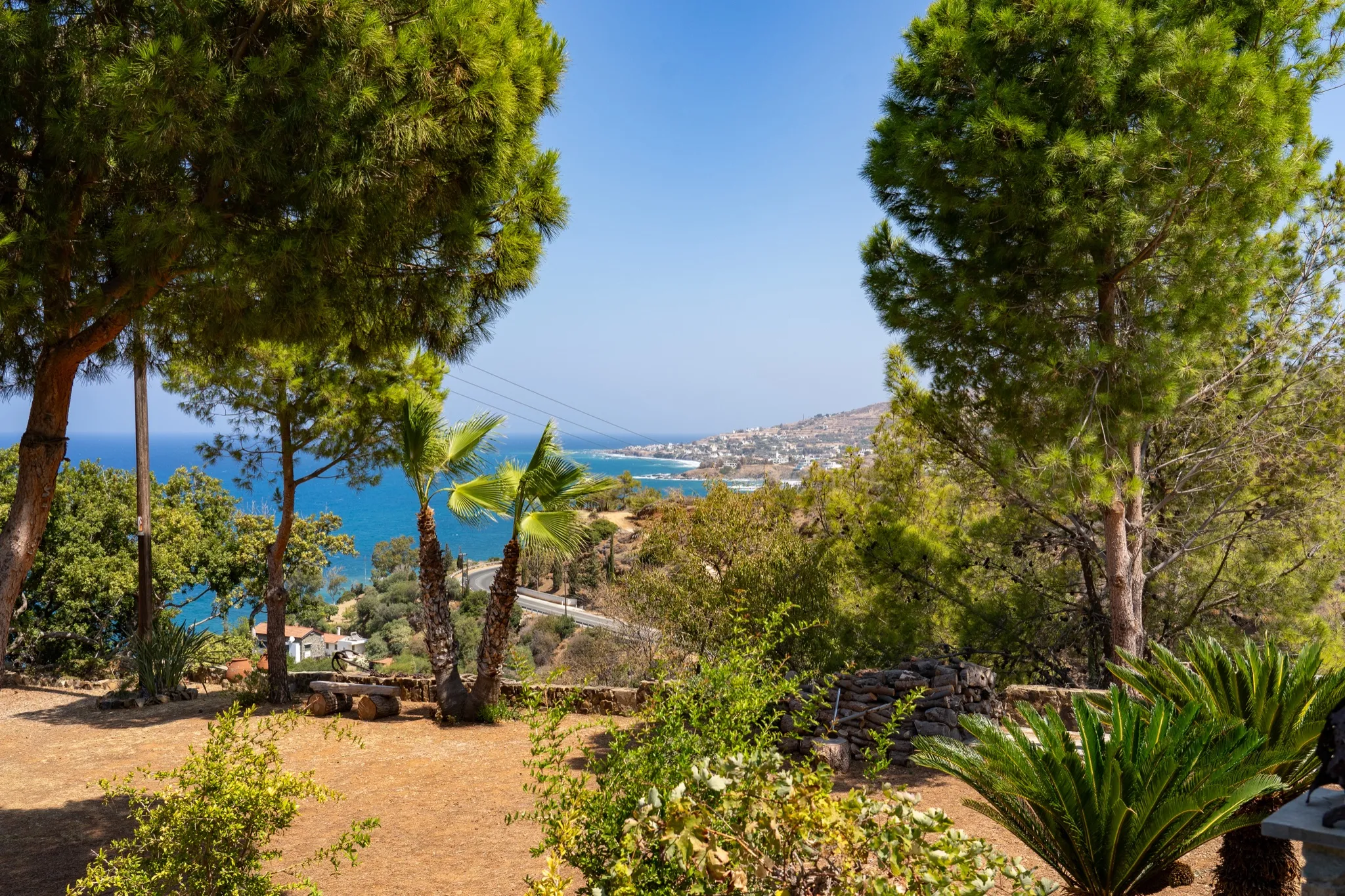 View between pine and palm trees over the blue Mediterranean coast near Pomos, Cyprus